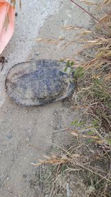 팜모닝 자유주제·건의해요 게시글 이미지