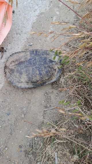 장수농장님의 자유주제 · 건의해요 작성글 사진