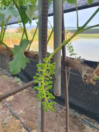 문순이님의 자유주제 · 자유게시판 작성글 사진