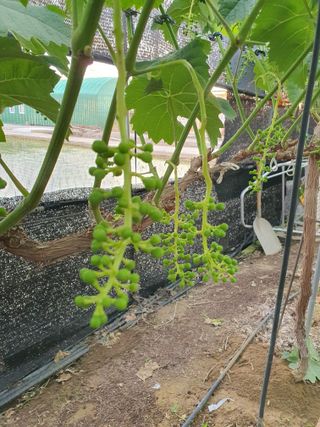 문순이님의 자유주제 · 자유게시판 작성글 사진