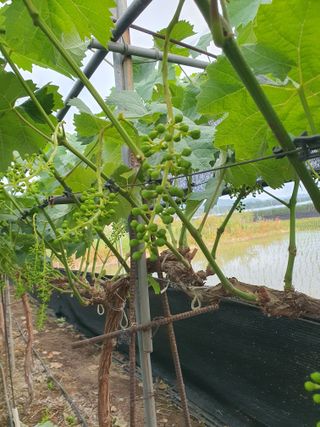 문순이님의 자유주제 · 자유게시판 작성글 사진