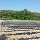 팜모닝 자유주제·자유게시판 게시글 이미지