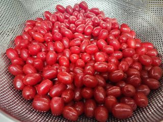 다야님의 자유주제 · 자유게시판 작성글 사진