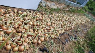 이서구님의 자유주제 · 자유게시판 작성글 사진