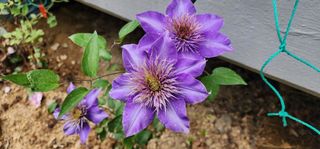 다야님의 자유주제 · 자유게시판 작성글 사진