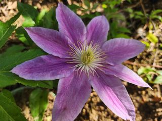 다야님의 자유주제 · 자유게시판 작성글 사진