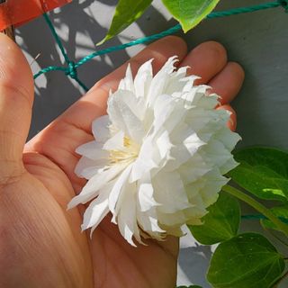 다야님의 자유주제 · 자유게시판 작성글 사진