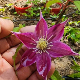 다야님의 자유주제 · 자유게시판 작성글 사진