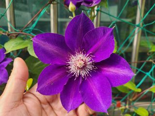 다야님의 자유주제 · 자유게시판 작성글 사진