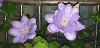 다야님의 자유주제 · 자유게시판 작성글 사진