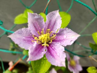 다야님의 자유주제 · 자유게시판 작성글 사진