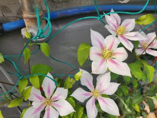 다야님의 자유주제 · 자유게시판 작성글 사진