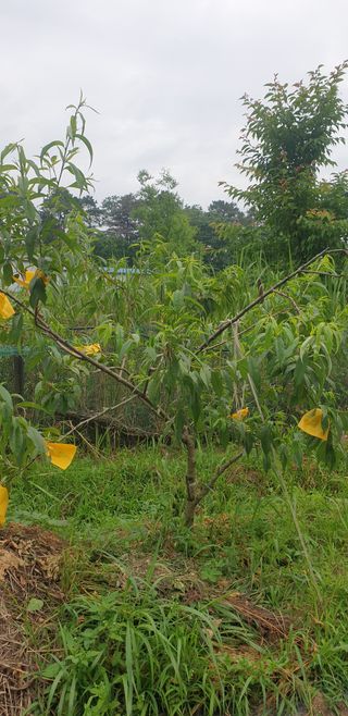 박선화님의 자유주제 · 자유게시판 작성글 사진