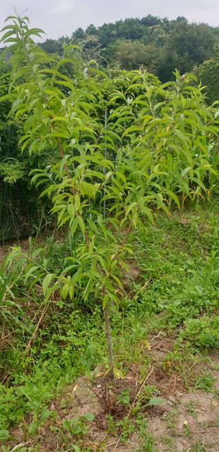 박선화님의 자유주제 · 자유게시판 작성글 사진