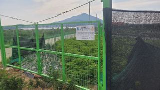 조상연님의 6월 내 작물 자랑하기🌱 · 참여글 작성글 사진