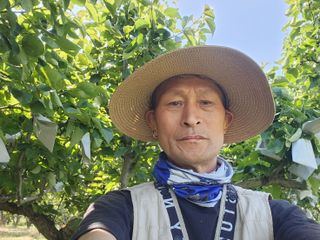 콩31745님의 배 · 영농일지 작성글 사진