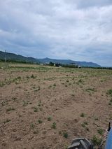 팜모닝 콩·영농일지 게시글 이미지