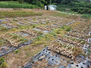 (장수 차행준)님의 자유주제 · 자유게시판 작성글 사진