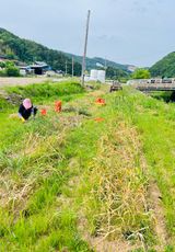 팜모닝 마늘·영농일지 게시글 이미지