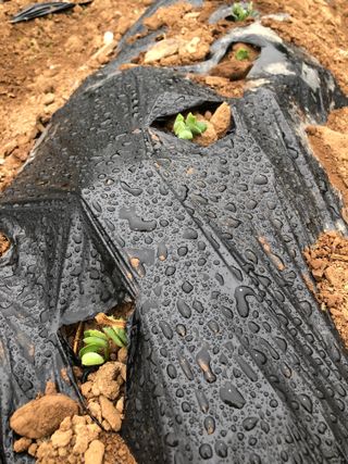 샘푸리 님의 자유주제 · 자유게시판 작성글 사진