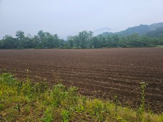 박영택님의 6월 내 작물 자랑하기🌱 · 참여글 작성글 사진