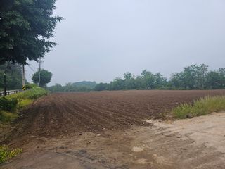 박영택님의 6월 내 작물 자랑하기🌱 · 참여글 작성글 사진