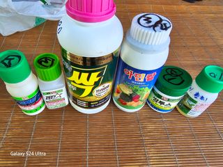 조영자님의 고추 · 영농일지 작성글 사진