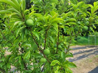 Fly up님의 자유주제 · 사진전 작성글 사진