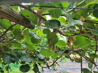 Fly up님의 자유주제 · 사진전 작성글 사진