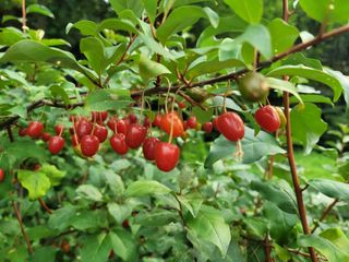 Fly up님의 자유주제 · 사진전 작성글 사진