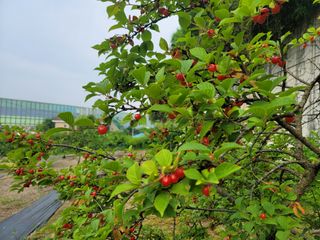 Fly up님의 자유주제 · 사진전 작성글 사진