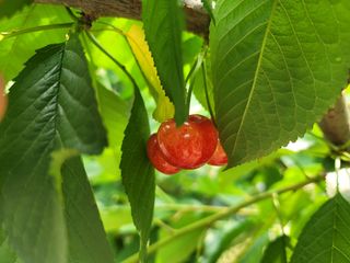 Fly up님의 자유주제 · 사진전 작성글 사진