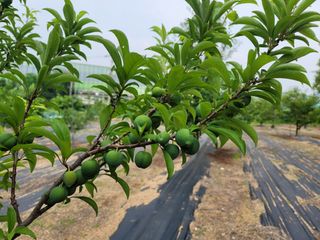 Fly up님의 자유주제 · 사진전 작성글 사진