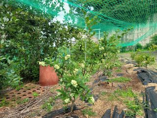 Fly up님의 자유주제 · 사진전 작성글 사진