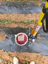 팜모닝 콩·영농일지 게시글 이미지