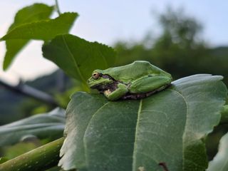 주주농장님의 기타작물 · 영농일지 작성글 사진