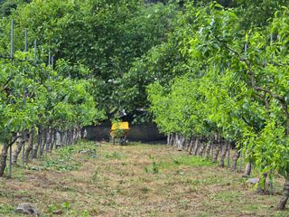 주주농장님의 기타작물 · 영농일지 작성글 사진