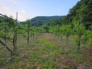 주주농장님의 기타작물 · 영농일지 작성글 사진