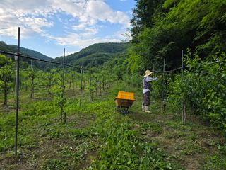 주주농장님의 자유주제 · 자유게시판 작성글 사진