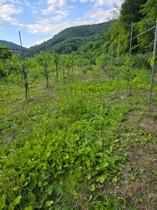 주주농장님의 자유주제 · 자유게시판 작성글 사진