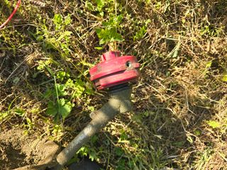 주주농장님의 자유주제 · 자유게시판 작성글 사진