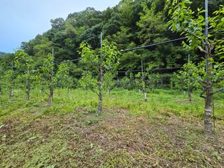 주주농장님의 자유주제 · 자유게시판 작성글 사진