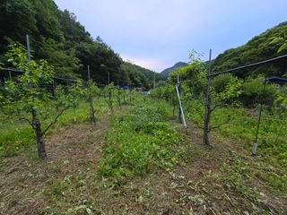 주주농장님의 자유주제 · 자유게시판 작성글 사진