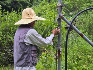 주주농장님의 자유주제 · 자유게시판 작성글 사진