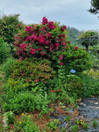 이남신님의 자유주제 · 자유게시판 작성글 사진
