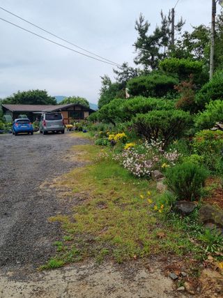 이남신님의 자유주제 · 자유게시판 작성글 사진