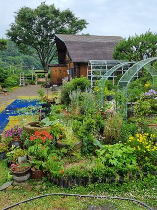 이남신님의 자유주제 · 자유게시판 작성글 사진
