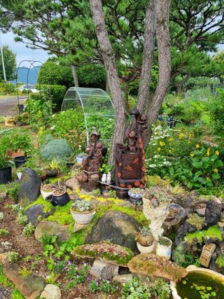 이남신님의 자유주제 · 자유게시판 작성글 사진