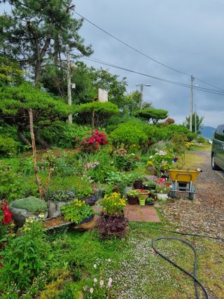 이남신님의 자유주제 · 자유게시판 작성글 사진