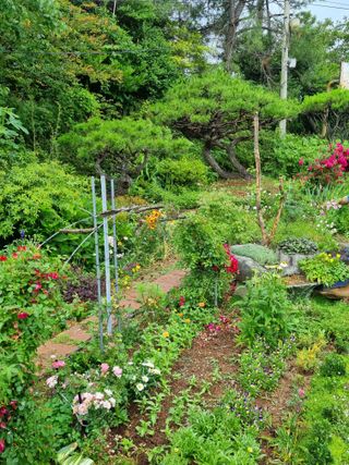 이남신님의 자유주제 · 자유게시판 작성글 사진